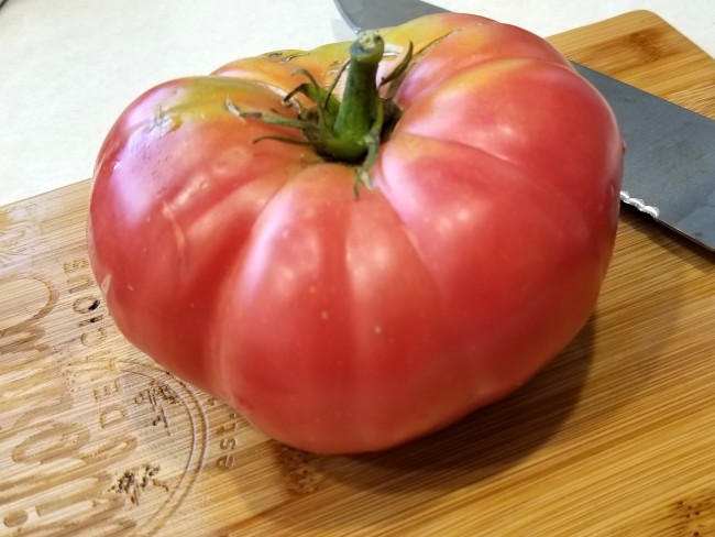 Brandywine (Sudduth's Strain) Tomato