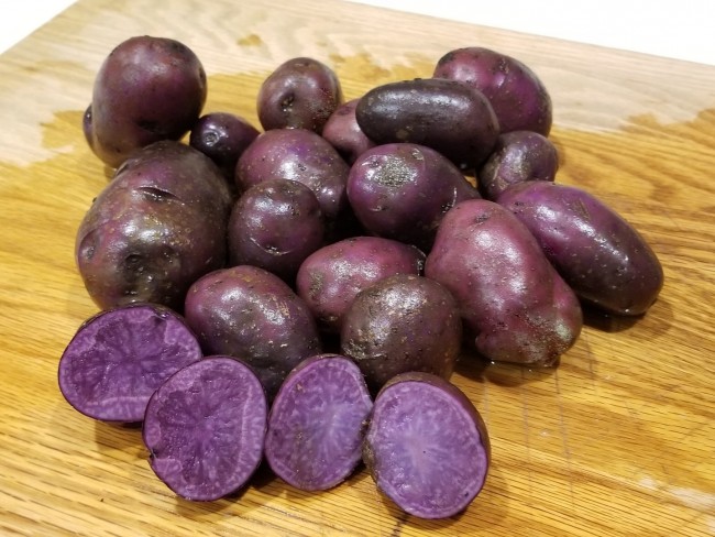 Certified Organic Adirondack Blue Seed Potatoes 2020 | Free Nude Porn ...