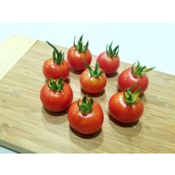 Tomato 'Resi Pink' Seeds (Certified Organic)