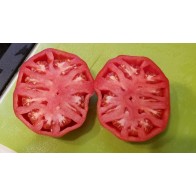 Tomato 'Carol Chyko's Big Paste' Seeds (Certified Organic)