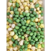 Cucumber 'Mouse Melon' or 'Mexican Sour Gherkin' Seeds (Certified Organic)