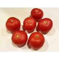 Tomato 'Bola Macizo' Seeds (Certified Organic)