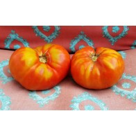 Tomato 'Andrew Rahart's Jumbo Red' Seeds (Certified Organic)