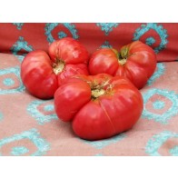 Tomato 'Lithuanian' Seeds (Certified Organic)
