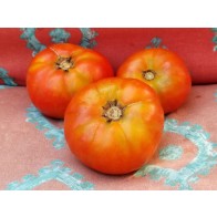 Tomato 'Pantano Romanesco' Seeds (Certified Organic)