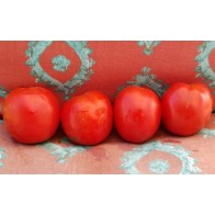 Tomato 'Mary's Square Paste' AKA 'Grandma Mary's Paste' Seeds (Certified Organic)