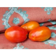 Tomato 'Chico III' Seeds (Certified Organic)