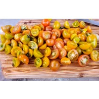 Tomato 'Ambrosia Gold' Seeds (Certified Organic)