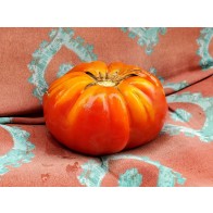 Tomato 'Zogola' Seeds (Certified Organic)