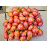 Tomato 'RB Pink Grape' Seeds (Certified Organic)