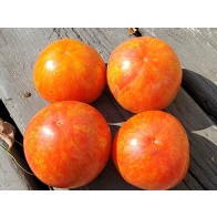 Tomato 'Aviuri' Seeds (Certified Organic)