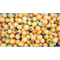 Tomato 'Honeydrop' Seeds (Certified Organic)