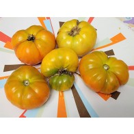 Tomato 'Project Grow Gold' (Orange-Red Cross) Seeds (Certified Organic)