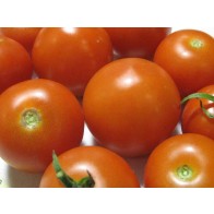 Tomato 'High Carotene' Seeds (Certified Organic)