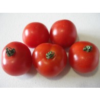 Tomato 'Gardener's Delight' Seeds (Certified Organic)