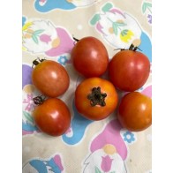 Tomato 'German Lunchbox' Seeds (Certified Organic)