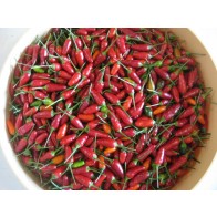 Hot Pepper ‘Thai Hot' Seeds (Certified Organic)