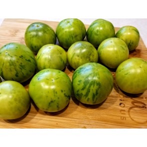 Tomato 'Green Vernissage' 