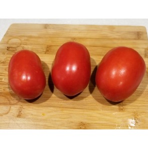 Tomato 'Heinz Super Roma' Seeds (Certified Organic)