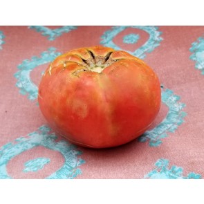 Tomato 'Razzleberry F2' Seeds (Certified Organic)