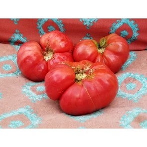 Tomato 'Super Beefsteak' Seeds (Certified Organic)  Garden Hoard –  Certified Organic Heirloom Seeds – Grown in Michigan by Renegade Acres
