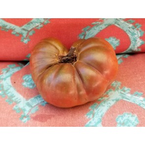 Tomato 'Cherokee Carbon' (Heirloom Marriage)
