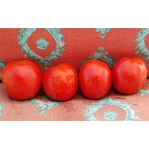 Tomato 'Mary's Square Paste' AKA 'Grandma Mary's Paste' Seeds (Certified Organic)