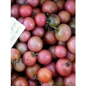 Tomato 'Napa Rose Blush' Seeds (Certified Organic)