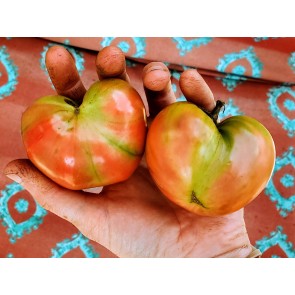 Tomato 'Siberian' Seeds (Certified Organic)