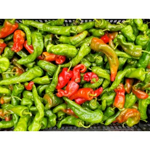 Hot Pepper ‘Hangjiao (HJ8) Total Eclipse Space Chili’ Seeds (Certified Organic)