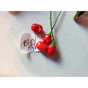 Hot Pepper ‘Bird Aji' Seeds (Certified Organic)