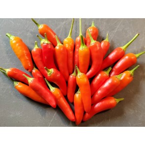 Hot Pepper ‘Thicc Thai’ Seeds (Certified Organic)