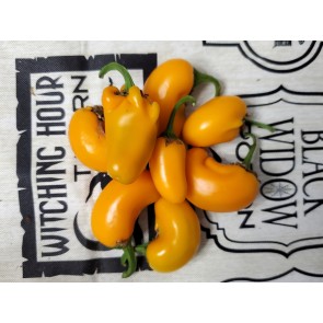 Hot Pepper 'NuMex Pumpkin Spice Jalapeno' Seeds (Certified Organic)