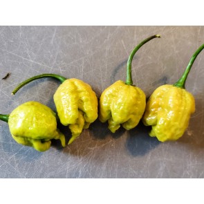 Hot Pepper ‘Golden Carolina Reaper' Seeds (Certified Organic)