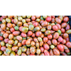 Tomato 'Black Mauri' Seeds (Certified Organic)