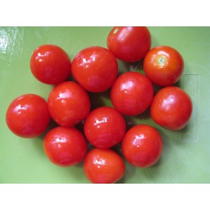 Tomato 'Large Red Cherry' Plant (4" Pot, single)