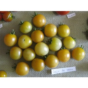 Tomato 'Gajo de Melon' (more yellow strain) Seeds (Certified Organic)