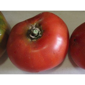 Tomato 'Super Marmande' Seeds (Certified Organic)