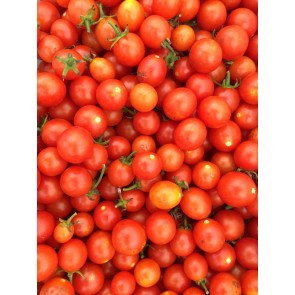 Tomato 'Hundreds and Thousands'