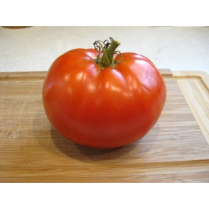 Tomato 'Saint Pierre'